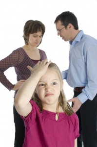 MN Family Law Attorney